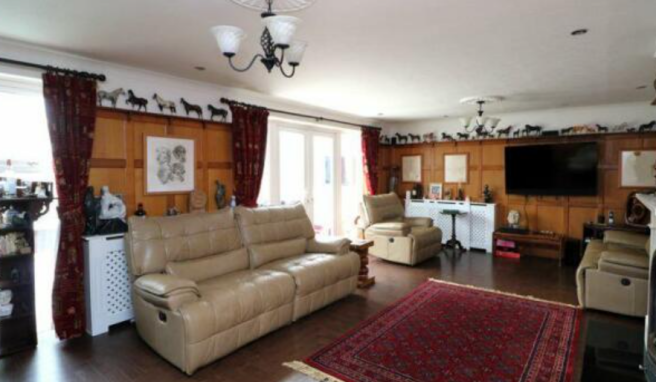 Photo 7