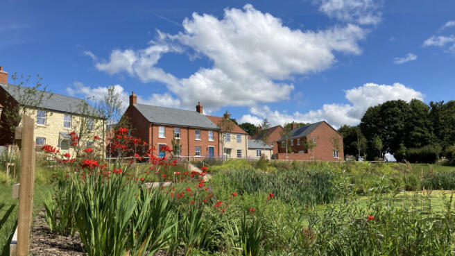 Plot image