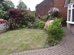Photo 14