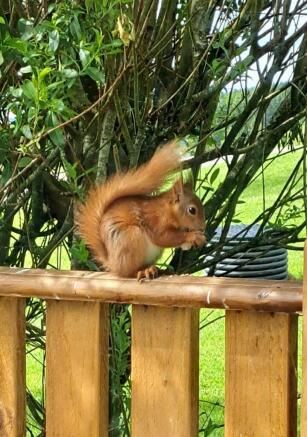 31fa6052 5310 4502 8a35 Ed17013885ad