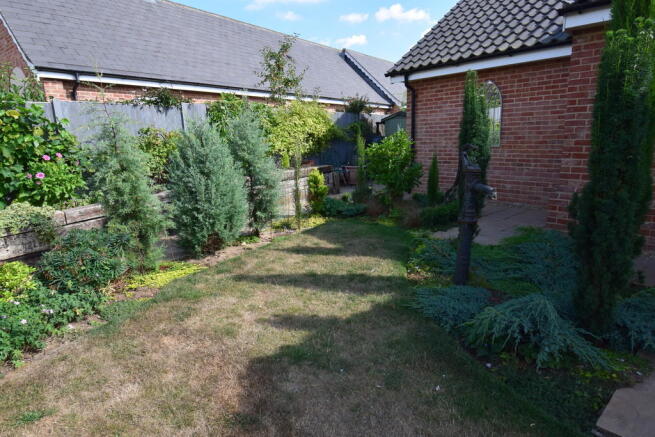 Photo 19