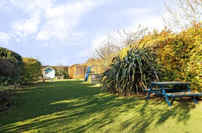 Back garden