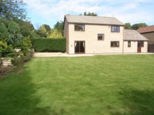 Rear external