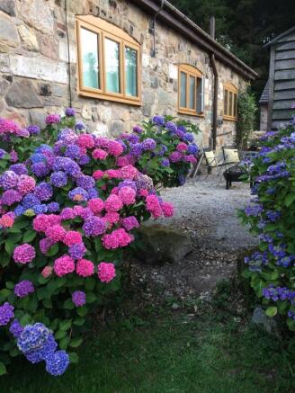 IMG_1755.jpg