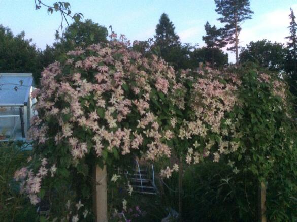 Photo 32