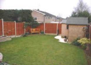 Back Garden