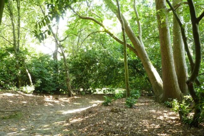 Communal Grounds