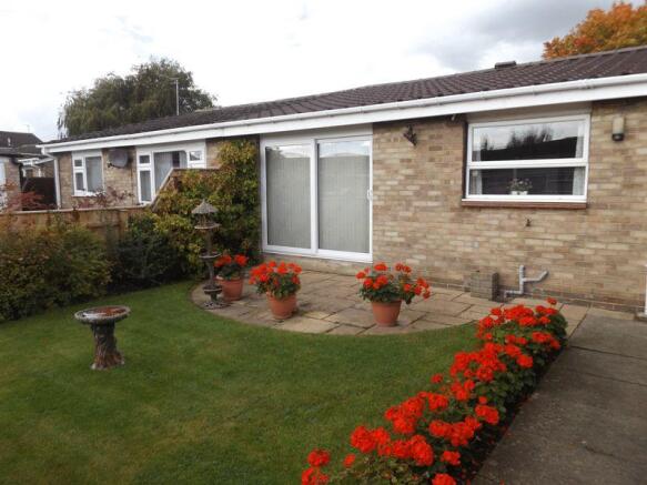 Back garden