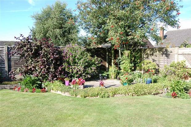 garden view 2