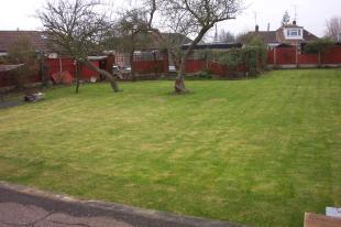 Good size garden