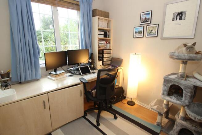 Photo 11