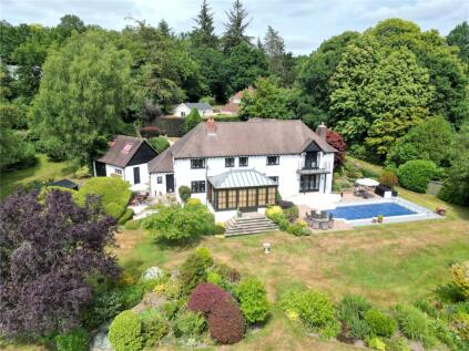 Godshill Wood, Fordingbridge, Hampshire, SP6