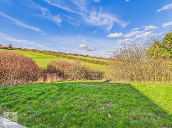 Green Open Space Across From Property