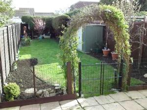 Photo 7