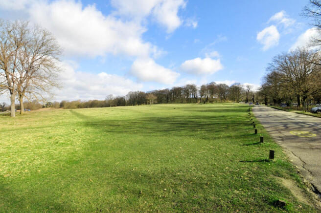 Richmond Park