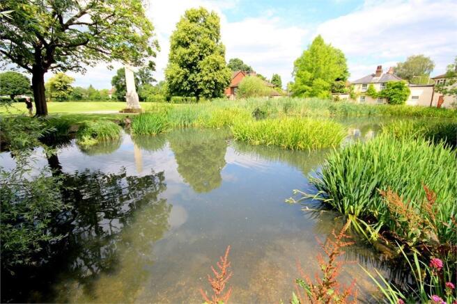 Duck Pond