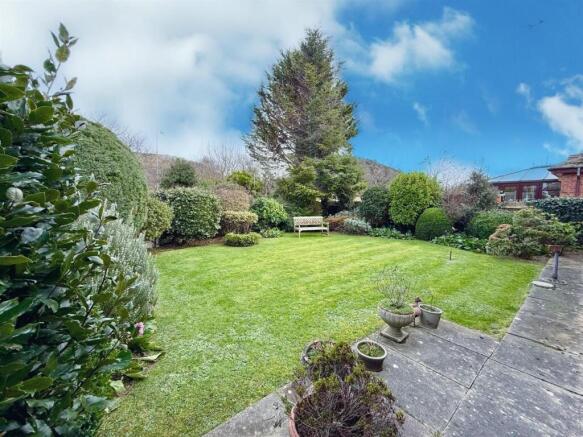 PHOTO-2026-02-18-11-20-45 (13).jpg