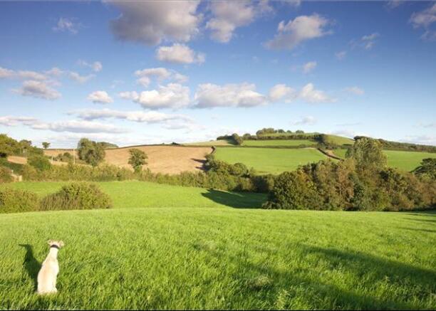 Paddocks