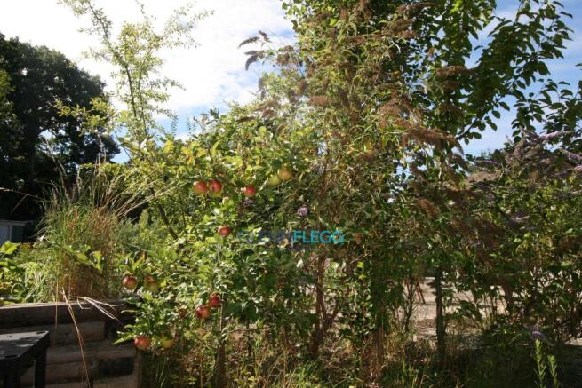 Community Gardens