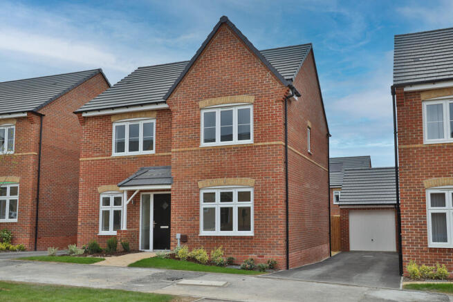 TWM_Bovis_150525_0019