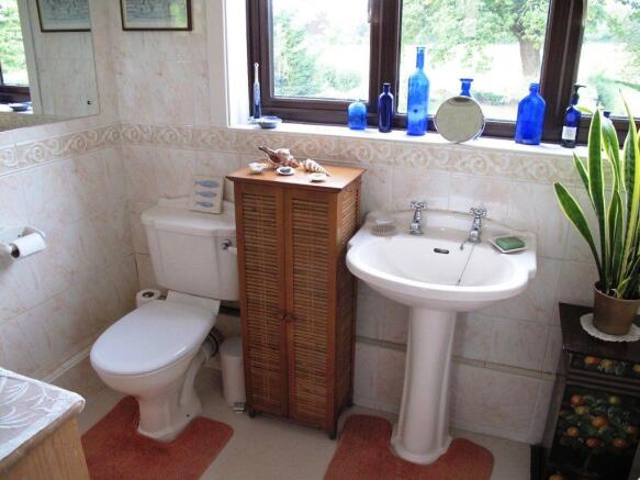 Photo 11