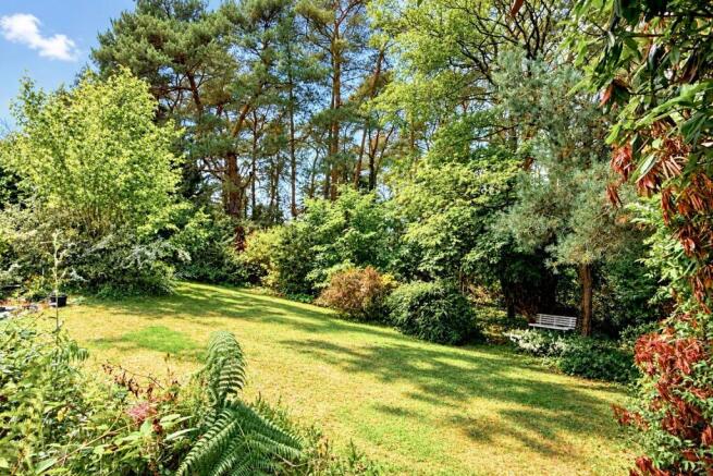 St Ives Park Photos (14)