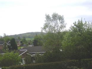 View from Rear