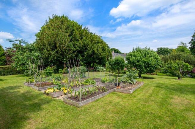 Vegetable/fruit plots