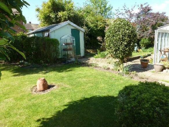 Garden photo 2