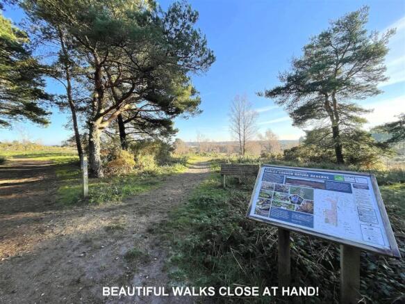 Parley Common Nature Reserve.jpg