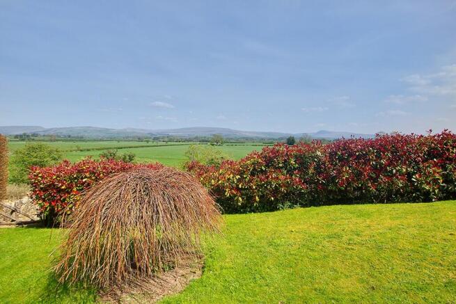 Garden & view