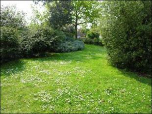 Front garden