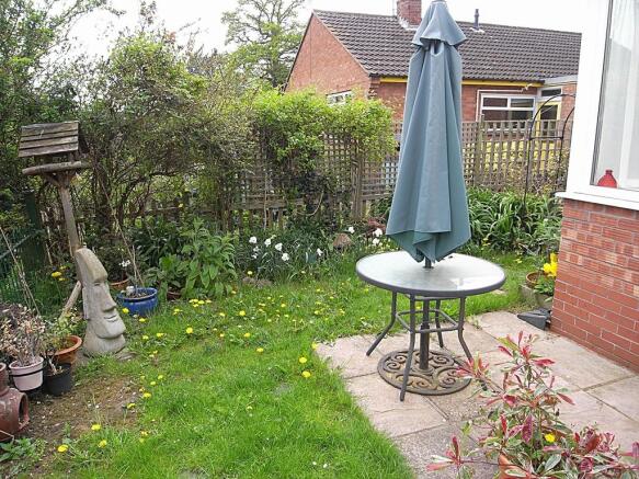 Photo 11