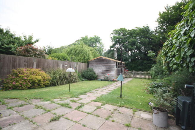 Photo 5