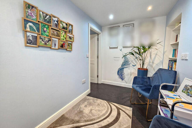 Therapy Reception Area