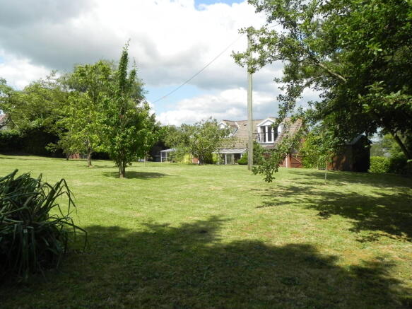Photo 11
