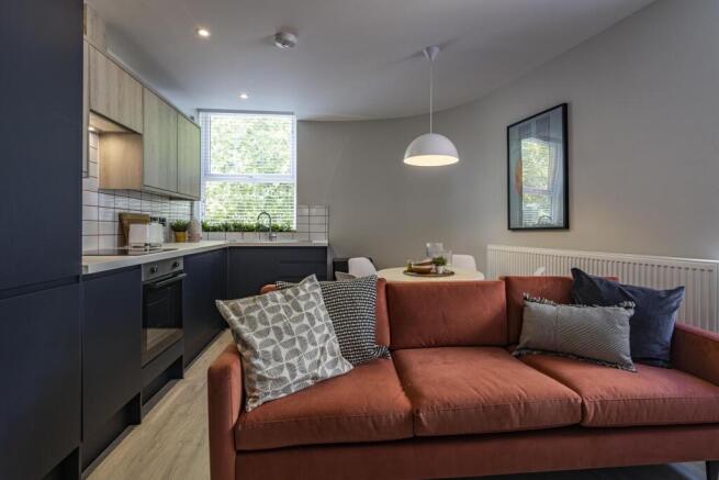 Kitchen/Living Space
