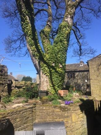 Photo 17
