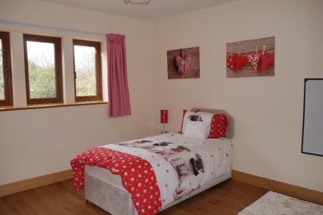 Photo 11