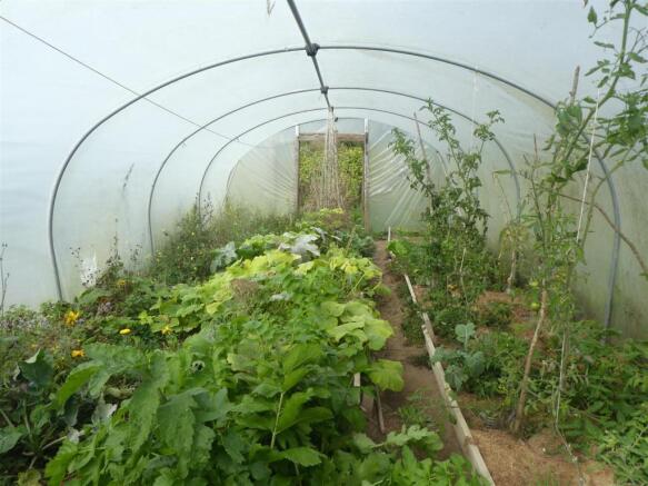 poly tunnels