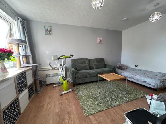 Living Room/Bedroom