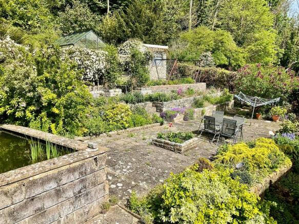 New garden1.jpg