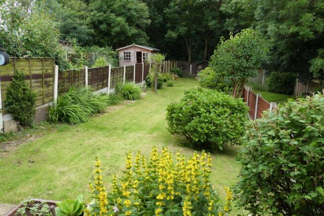 Garden Pic 3