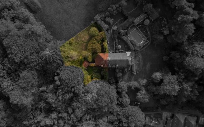 The Coppers, Dorking - Drone - Black & White - Fin