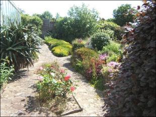 Garden 2