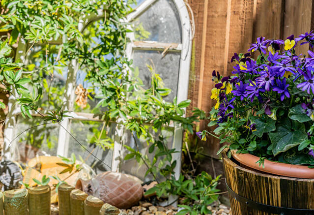 Feature