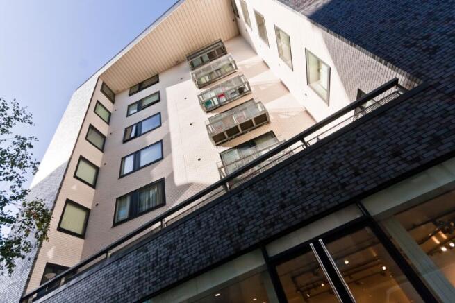 IMG_10601_1_original