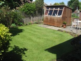 Rear Garden 2
