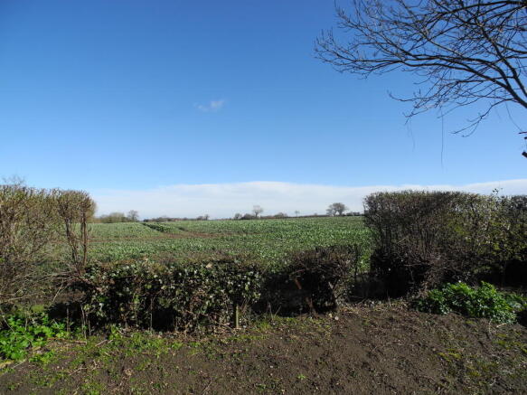 Field Views