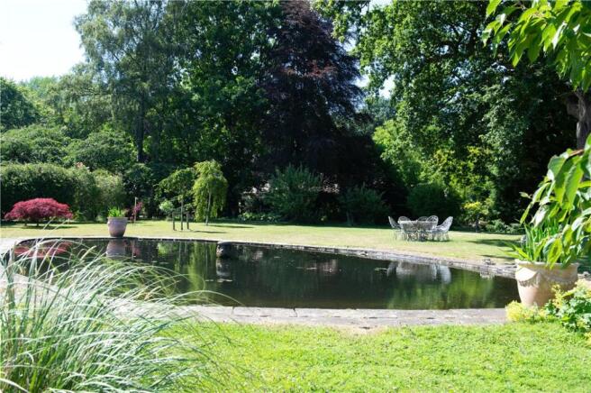 Pond